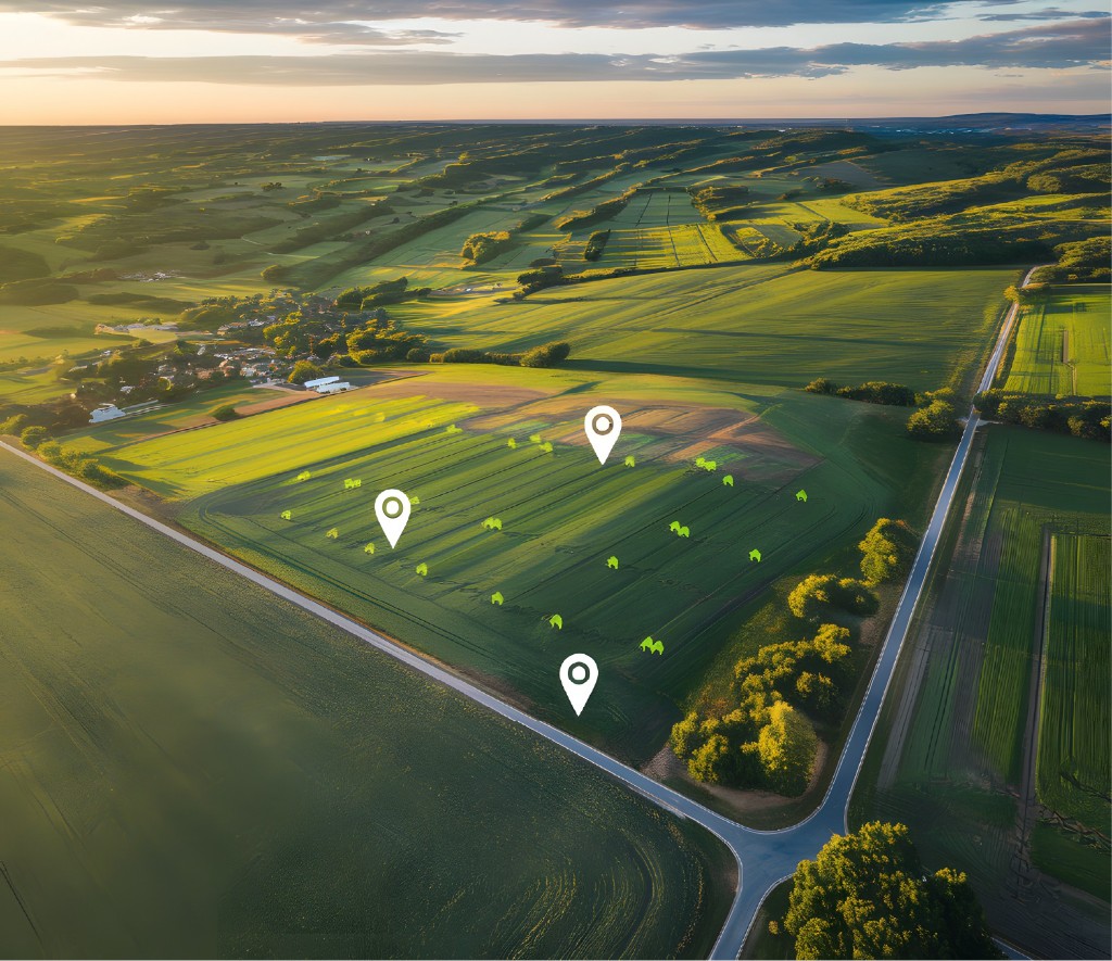 Is Jigani a good place to buy plot or house 2026